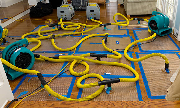 Professional Flood Damage Restoration technician working in New Boston, OH